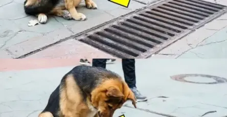Nội dung doạn văn bản của bạn