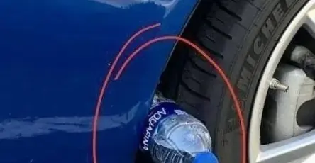 638709387 122197807802378281 7347549607299153248 n