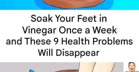 641268030 2416522492122168 5105859922606252773 n