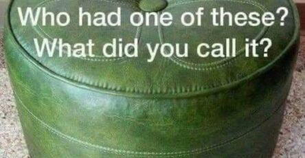646954707 1289069603274447 1551337605966680908 n